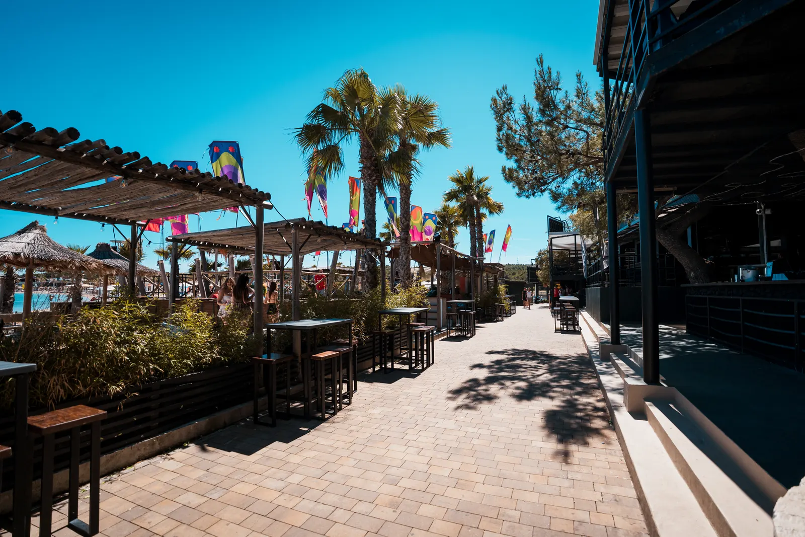 Spring Break im Kalypso Club Zrce Beach — Foto 2